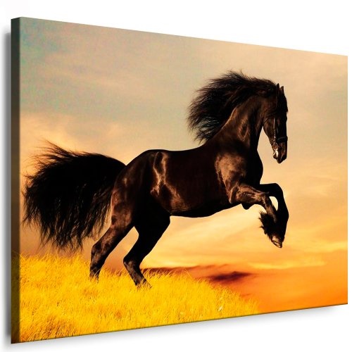 Kunstdruck Pferd Bild auf leinwand Leinwandbild fertig auf Keilrahmen / Leinwandbilder, Wandbilder,Nr.7903678121 Pop Art Gemälde, Kunst - Deko Bilder