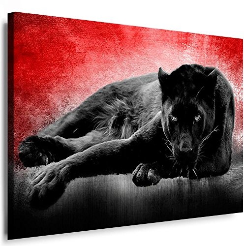 Fotoleinwand24 Tiere Abstrakt Schwarzer Panther/AA0041/Fotoleinwand auf Keilrahmen/Farbig/70x50 cm