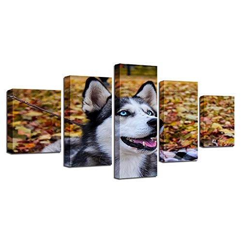 CYZSH Leinwand Hd Drucke Bilder Wandkunst Für Wohnzimmer Wohnkultur 5 Stücke Tier Husky Pet Gemälde Blaue Augen Hund Poster