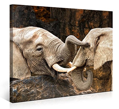 Gallery of Innovative Art - Elephant Love - 100x75cm Premium Kunstdruck Wand-Bild - Leinwand-Druck in deutscher Marken-Qualität - Leinwand-Bilder auf Holz-Keilrahmen als moderne Wanddekoration