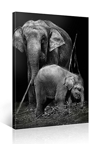 Gallery of Innovative Art - Black And White Elephants - 75x100cm Premium Kunstdruck Wand-Bild - Leinwand-Druck in deutscher Marken-Qualität - Leinwand-Bilder auf Holz-Keilrahmen als moderne Wanddekoration