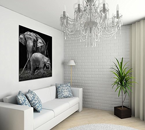 Gallery of Innovative Art - Black And White Elephants - 75x100cm Premium Kunstdruck Wand-Bild - Leinwand-Druck in deutscher Marken-Qualität - Leinwand-Bilder auf Holz-Keilrahmen als moderne Wanddekoration