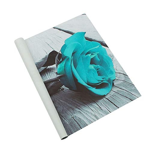 VNEIRW Premium Leinwanddruck 20 x 30 cm - Türkis Rose, Schwarz-Weiß-Effekt Kunstdruck Auf Leinwand Auf für Schlaf- Und Wohnzimmer Von Gallery of Innovative Art (Bunt)