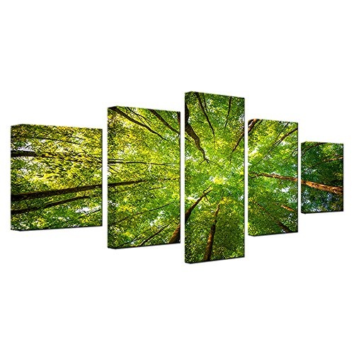 CYZSH Wohnkultur Leinwand Bilder Hd Drucke Poster 5 Stücke Grün Sonnenschein Wald Bäume Gemälde Modulare Wohnzimmer Wandkunst