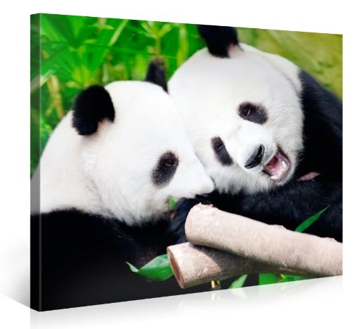 Gallery of Innovative Art - Couple Of Pandas - 100x75cm...