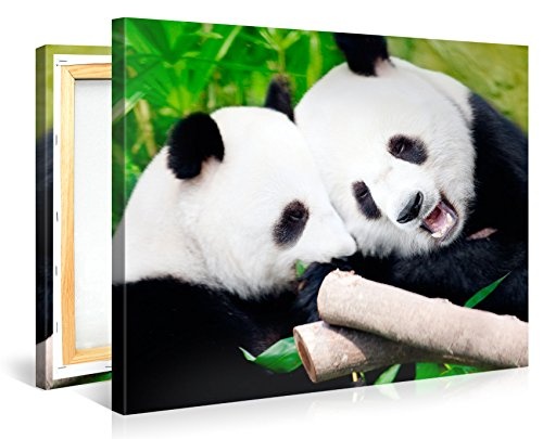 Gallery of Innovative Art - Couple Of Pandas - 100x75cm...