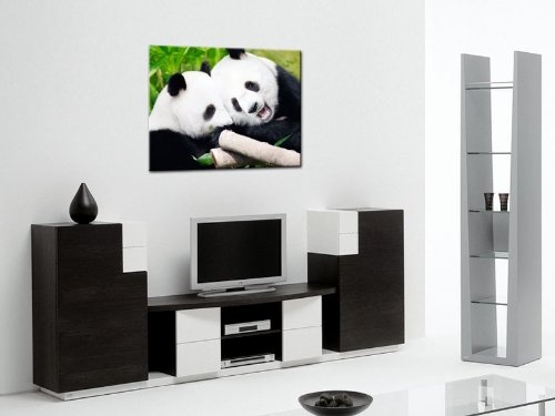 Gallery of Innovative Art - Couple Of Pandas - 100x75cm Premium Kunstdruck Wand-Bild - Leinwand-Druck in deutscher Marken-Qualität - Leinwand-Bilder auf Holz-Keilrahmen als moderne Wanddekoration