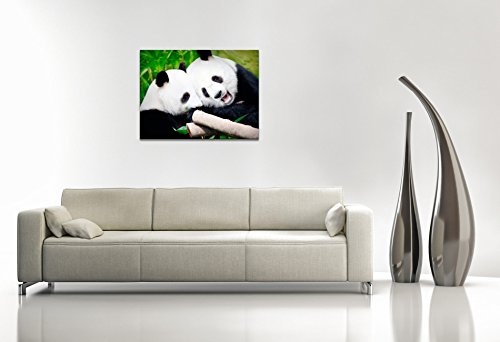 Gallery of Innovative Art - Couple Of Pandas - 100x75cm Premium Kunstdruck Wand-Bild - Leinwand-Druck in deutscher Marken-Qualität - Leinwand-Bilder auf Holz-Keilrahmen als moderne Wanddekoration