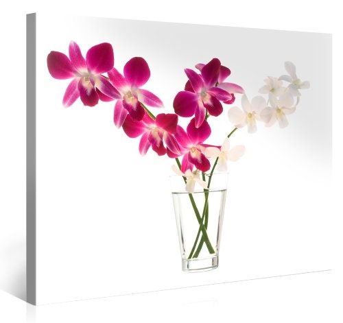 Gallery of Innovative Art - Orchids 2 - 100x75cm Premium Kunstdruck Wand-Bild - Leinwand-Druck in deutscher Marken-Qualität - Leinwand-Bilder auf Holz-Keilrahmen als moderne Wanddekoration