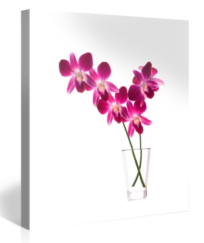 Gallery of Innovative Art - Orchids - 80x80cm Premium Kunstdruck Wand-Bild - Leinwand-Druck in deutscher Marken-Qualität - Leinwand-Bilder auf Holz-Keilrahmen als moderne Wanddekoration