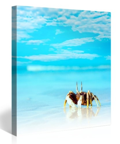 Gallery of Innovative Art - Crab On Beach - 80x80cm Premium Kunstdruck Wand-Bild - Leinwand-Druck in deutscher Marken-Qualität - Leinwand-Bilder auf Holz-Keilrahmen als moderne Wanddekoration