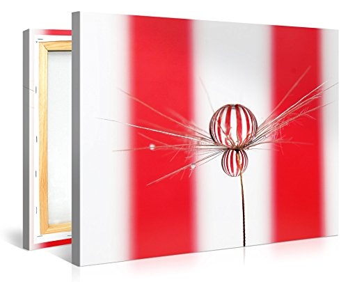 Gallery of Innovative Art - Dandelion Stripes - 100x75cm Premium Kunstdruck Wand-Bild - Leinwand-Druck in deutscher Marken-Qualität - Leinwand-Bilder auf Holz-Keilrahmen als moderne Wanddekoration