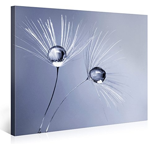 Gallery of Innovative Art - Dandelion Twin Droplets - 100x75cm Premium Kunstdruck Wand-Bild - Leinwand-Druck in deutscher Marken-Qualität - Leinwand-Bilder auf Holz-Keilrahmen als moderne Wanddekoration