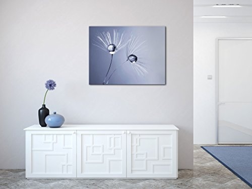 Gallery of Innovative Art - Dandelion Twin Droplets - 100x75cm Premium Kunstdruck Wand-Bild - Leinwand-Druck in deutscher Marken-Qualität - Leinwand-Bilder auf Holz-Keilrahmen als moderne Wanddekoration