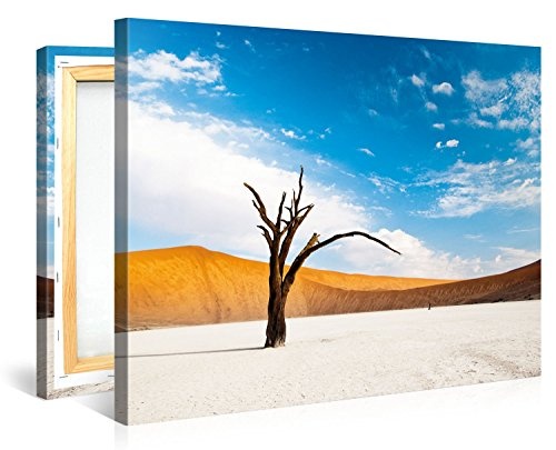 Gallery of Innovative Art - Dead Desert Tree - 100x75cm Premium Kunstdruck Wand-Bild - Leinwand-Druck in deutscher Marken-Qualität - Leinwand-Bilder auf Holz-Keilrahmen als moderne Wanddekoration