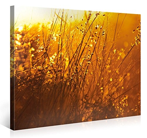 Gallery of Innovative Art - Yellow Sunrise In The Fields...