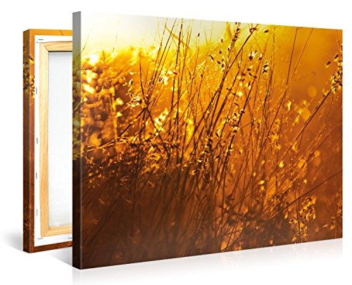 Gallery of Innovative Art - Yellow Sunrise In The Fields - 100x75cm Premium Kunstdruck Wand-Bild - Leinwand-Druck in deutscher Marken-Qualität - Leinwand-Bilder auf Holz-Keilrahmen als moderne Wanddekoration