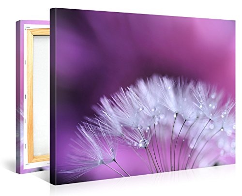 Gallery of Innovative Art - Sonnet For Violet - 100x75cm Premium Kunstdruck Wand-Bild - Leinwand-Druck in deutscher Marken-Qualität - Leinwand-Bilder auf Holz-Keilrahmen als moderne Wanddekoration