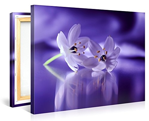 Gallery of Innovative Art - Whispering Flowers - 100x75cm Premium Kunstdruck Wand-Bild - Leinwand-Druck in deutscher Marken-Qualität - Leinwand-Bilder auf Holz-Keilrahmen als moderne Wanddekoration