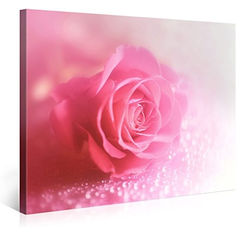 Gallery of Innovative Art - Pink Wet Macro Rose 2 - 100x75cm Premium Kunstdruck Wand-Bild - Leinwand-Druck in deutscher Marken-Qualität - Leinwand-Bilder auf Holz-Keilrahmen als moderne Wanddekoration