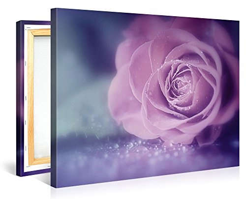 Gallery of Innovative Art - Pink Wet Macro Rose - 100x75cm Premium Kunstdruck Wand-Bild - Leinwand-Druck in deutscher Marken-Qualität - Leinwand-Bilder auf Holz-Keilrahmen als moderne Wanddekoration