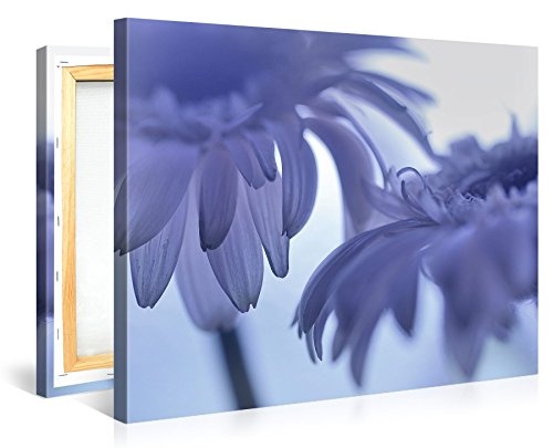 Gallery of Innovative Art - Pretty Blue Flowers - 100x75cm Premium Kunstdruck Wand-Bild - Leinwand-Druck in deutscher Marken-Qualität - Leinwand-Bilder auf Holz-Keilrahmen als moderne Wanddekoration