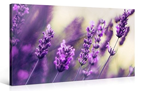 Premium Kunstdruck Wand-Bild - Purple Lavendel - 100x50cm...