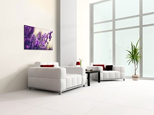 Premium Kunstdruck Wand-Bild - Purple Lavendel - 100x50cm Leinwand-Druck in deutscher Marken-Qualität - Leinwand-Bilder auf Holz-Keilrahmen als moderne Wanddekoration