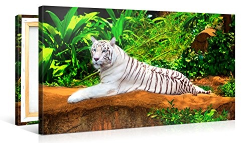 Premium Kunstdruck Wand-Bild - White Tiger - 100x50cm Leinwand-Druck in deutscher Marken-Qualität - Leinwand-Bilder auf Holz-Keilrahmen als moderne Wanddekoration