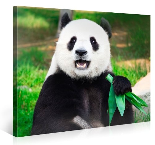 Gallery of Innovative Art - Giant Panda - 100x75cm...