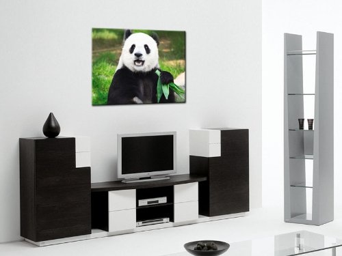 Gallery of Innovative Art - Giant Panda - 100x75cm Premium Kunstdruck Wand-Bild - Leinwand-Druck in deutscher Marken-Qualität - Leinwand-Bilder auf Holz-Keilrahmen als moderne Wanddekoration