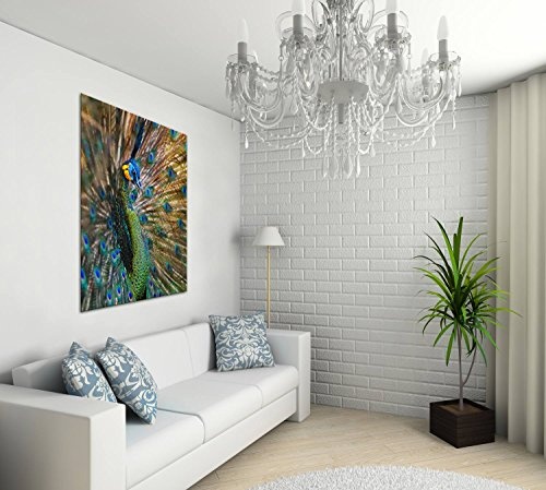 Gallery of Innovative Art - Peacock Wings 2 - 75x100cm Premium Kunstdruck Wand-Bild - Leinwand-Druck in deutscher Marken-Qualität - Leinwand-Bilder auf Holz-Keilrahmen als moderne Wanddekoration