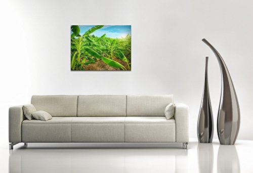 Gallery of Innovative Art - Banana Plantation - 100x75cm Premium Kunstdruck Wand-Bild - Leinwand-Druck in deutscher Marken-Qualität - Leinwand-Bilder auf Holz-Keilrahmen als moderne Wanddekoration