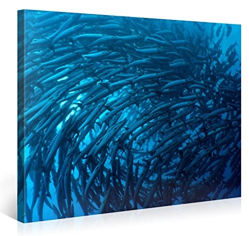 Premium Kunstdruck Wand-Bild - Barracudas Underwater - 100x75cm - XXL Leinwand-Druck in deutscher Marken-Qualität - Leinwand-Bilder auf Holz-Keilrahmen als moderne Wohnzimmer-Deko
