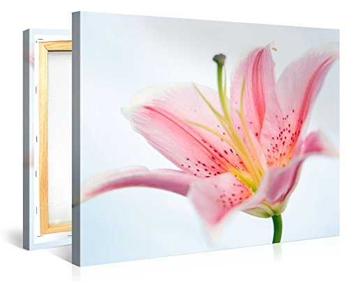 Premium Kunstdruck Wand-Bild - Lily Flower - 100x75cm -...