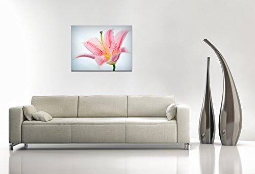 Premium Kunstdruck Wand-Bild - Lily Flower - 100x75cm - XXL Leinwand-Druck in deutscher Marken-Qualität - Leinwand-Bilder auf Holz-Keilrahmen als moderne Wohnzimmer-Deko