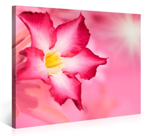 Premium Kunstdruck Wand-Bild - Floral Background - 100x75cm - XXL Leinwand-Druck in deutscher Marken-Qualität - Leinwand-Bilder auf Holz-Keilrahmen als moderne Wohnzimmer-Deko