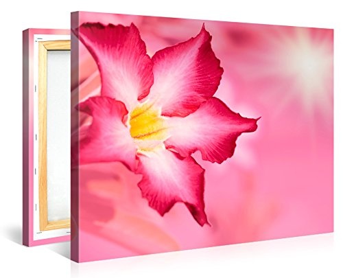 Premium Kunstdruck Wand-Bild - Floral Background - 100x75cm - XXL Leinwand-Druck in deutscher Marken-Qualität - Leinwand-Bilder auf Holz-Keilrahmen als moderne Wohnzimmer-Deko