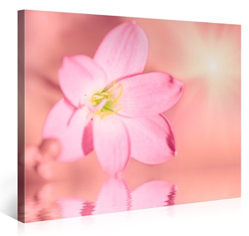 Premium Kunstdruck Wand-Bild - Delicate Flower - 100x75cm...