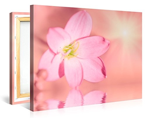 Premium Kunstdruck Wand-Bild - Delicate Flower - 100x75cm...