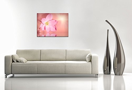 Premium Kunstdruck Wand-Bild - Delicate Flower - 100x75cm - XXL Leinwand-Druck in deutscher Marken-Qualität - Leinwand-Bilder auf Holz-Keilrahmen als moderne Wohnzimmer-Deko
