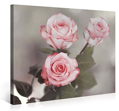 Gallery of Innovative Art - White Red Roses - 100x75cm Premium Kunstdruck Wand-Bild - Leinwand-Druck in deutscher Marken-Qualität - Leinwand-Bilder auf Holz-Keilrahmen als moderne Wanddekoration