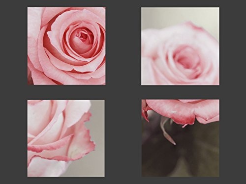 Gallery of Innovative Art - White Red Roses - 100x75cm Premium Kunstdruck Wand-Bild - Leinwand-Druck in deutscher Marken-Qualität - Leinwand-Bilder auf Holz-Keilrahmen als moderne Wanddekoration
