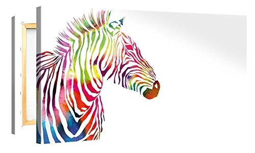 Premium Kunstdruck Wand-Bild - Colourful Zebra - 100x50cm XXL Leinwand-Druck in deutscher Marken-Qualität - Leinwand-Bilder auf Holz-Keilrahmen als moderne Wohnzimmer-Deko ...