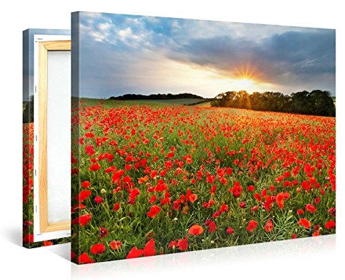 Gallery of Innovative Art - Poppie Field Sunset - 100x75cm Premium Kunstdruck Wand-Bild - Leinwand-Druck in deutscher Marken-Qualität - Leinwand-Bilder auf Holz-Keilrahmen als moderne Wanddekoration