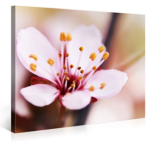 Gallery of Innovative Art - Cherry Blossom - 100x75cm...