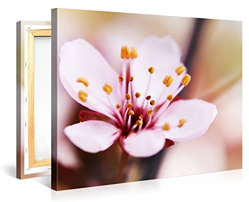 Gallery of Innovative Art - Cherry Blossom - 100x75cm Premium Kunstdruck Wand-Bild - Leinwand-Druck in deutscher Marken-Qualität - Leinwand-Bilder auf Holz-Keilrahmen als moderne Wanddekoration