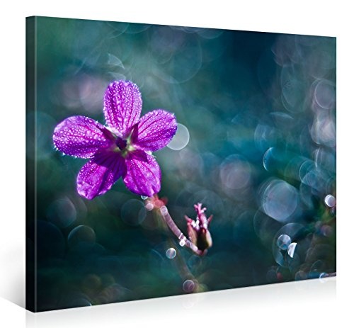 Premium Kunstdruck Wand-Bild - Tiny Purple Water Flower -...