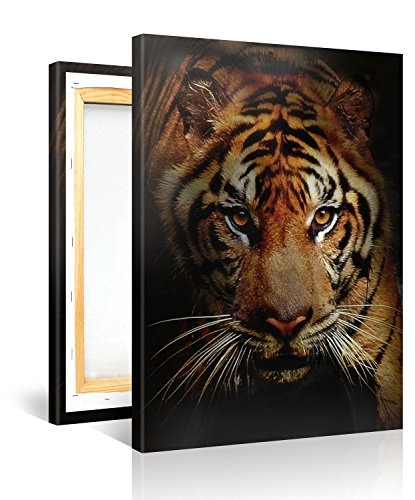 Gallery of Innovative Art - Tiger Hunting - 75x100cm...