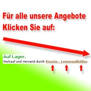 Visario Leinwandbilder 4094 Bild auf Leinwand Sonne, 80 x 60 cm